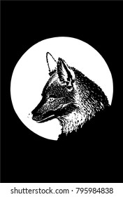 Graphical sketch of fox isolated on black background,vector illustration
