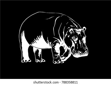 Graphical sketch of hippo isolated on black background,vector