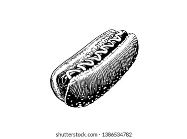 Graphical sketch of hot dog isolated on white, vector illustration ,fast-food