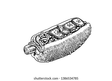 Graphical sketch of hot dog isolated on white, vector illustration ,fast-food