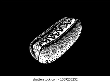 Graphical sketch of hot dog isolated on black, vector illustration ,fast-food