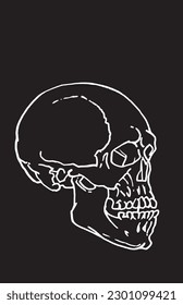 Graphical sketch of human skull isolated on black background,vector illustration. Spooky illustration for tattoo and design.Human fossil, science