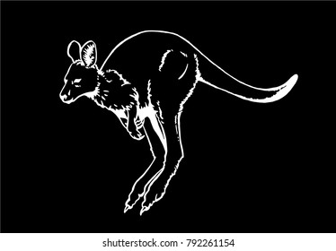 Graphical sketch of kangaroo isolated on black background,vector illustration