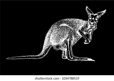 Graphical sketch of kangaroo on black  background,vector