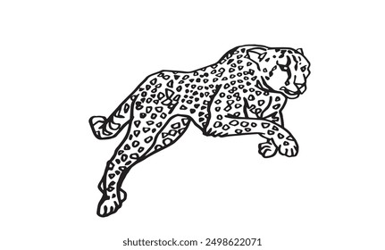 Boceto gráfico de leopardo saltando sobre fondo blanco, Ilustración vectorial para colorear libro