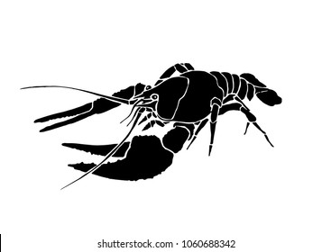 Graphical sketch of lobster isolated on white background,vector illustration