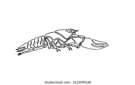 4,208 Lobster doodle Images, Stock Photos & Vectors | Shutterstock