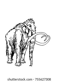 Graphical sketch of mammoth isolated on white background for coloring and printing,vector