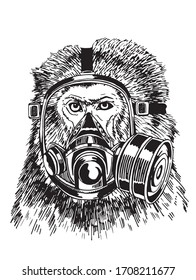 Graphical sketch of monkey in gas mask isolated on white, vector illustration for coloring, typography and tattoo