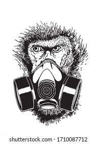 Graphical sketch of monkey in gas mask isolated on white, vector illustration for coloring, typography and tattoo