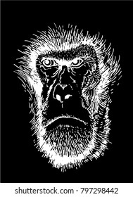 Graphical sketch of monkey isolated on black background,vector
