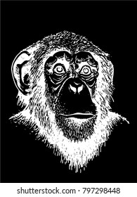 Graphical sketch of monkey isolated on black background,vector