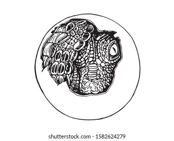Graphical sketch o crocodile in  egg isolated on white background,vector illustration,baby