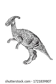 Graphical sketch of parasaurolophus isolated on white background , vector illustration, dinosaur