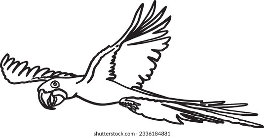 Graphical sketch of parrot  isolated on white,vector element of bird.Ink pen parrot for coloring,logo,design