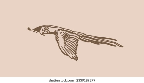 Graphical sketch of parrot  on sepia background,vector element of bird.Ink pen parrot