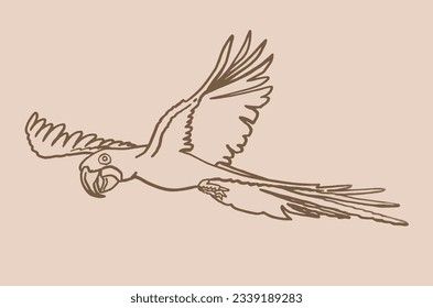 Graphical sketch of parrot  on sepia background,vector element of bird.Ink pen parrot