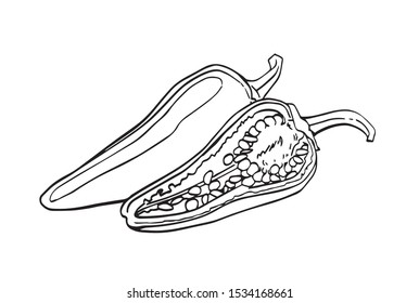 Graphical sketch of pepper isolated on white,vector doodle illustration