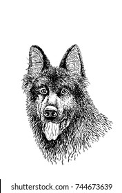 Graphical sketch portrait of sheep dog with open mouth isolated on white background, tattoo illustration