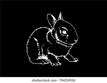 Graphical sketch of rabbit isolated on black background,vector illustration