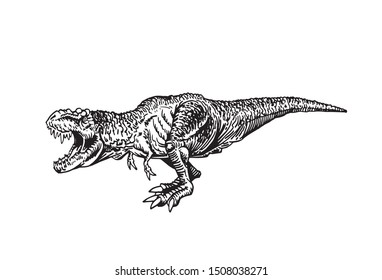 Graphical sketch of raptor isolated on white, paleontology,vector illustration