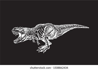 Graphical sketch of raptor isolated on black , paleontology,vector illustration