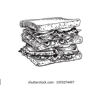 Graphical sketch of sandwich isolated on white background,vector food illustration