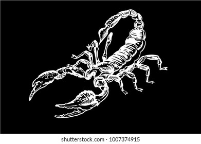 Graphical sketch of scorpion on black background,vector illustration