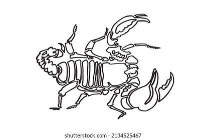 Esbozo gráfico de escorpión sobre fondo blanco, dibujo vectorial alineado para libros de coloreado y logotipo