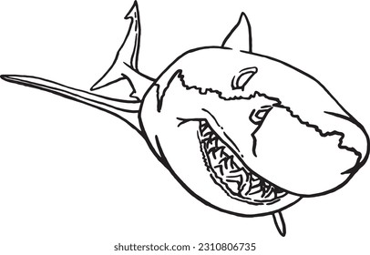 Graphical sketch of shark on white background, underwater life. Vector illustration, great white shark element