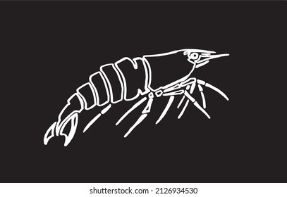 Graphical sketch of shrimp isolated on black background,vector sea-food element ,lined drawing