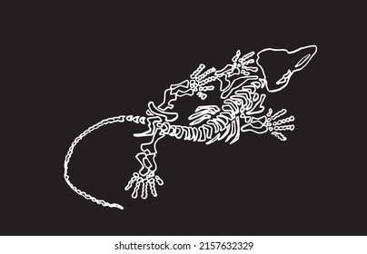 Graphical sketch of skeleton of crocodile on black,lined drawing, Vector crocodile element for paleontology 