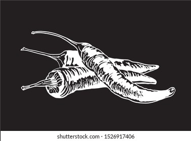 Graphical sketch of spicy pepper isolated on black background,vector illustration for typography 