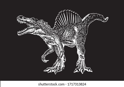 Graphical sketch of spinosaurus isolated on black background,vector engraved illustration, dinosaur