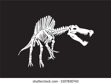Graphical sketch of spinosaurus skeleton isolated on black background,paleontology,vector illustration