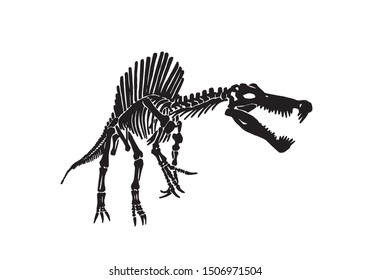 Graphical Sketch Spinosaurus Skeletonpaleontologyvector Illustration ...
