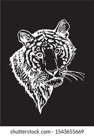 Graphical sketch of tiger isolated on black background,vector engraved illustration