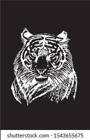 Graphical sketch of tiger isolated on black background,vector engraved illustration