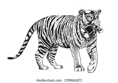 Graphical sketch of tiger in virus mask isolated on white, vector illustration for coloring, typography and tattoo