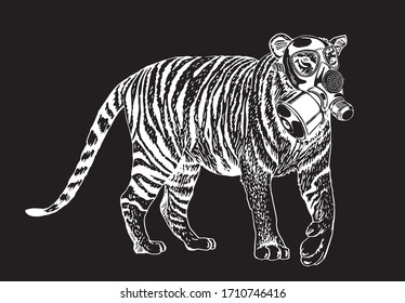 Graphical sketch of tiger in virus mask isolated on black, vector illustration for  typography and tattoo