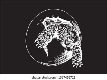 Graphical sketch of tortoise in egg isolated on black background,vector engraved illustration