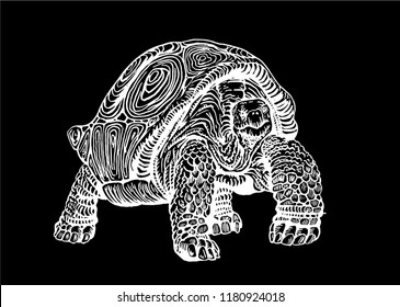 Graphical sketch of tortoise isolated on black background,vector engraved illustration