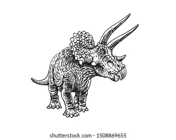 Graphical sketch of triceratops isolated on white, paleontology,vector illustration