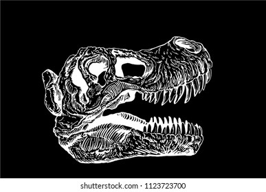 Graphical Sketch Tyrannosaurus Skull Isolated On Stock Vector (Royalty ...