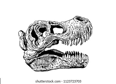 146 T rex head silhouette outline vector art Images, Stock Photos ...