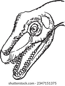 Graphical sketchy illustration of diplodocus head  isolated on white background,vector illustration for coloring, dinosaur with long neck