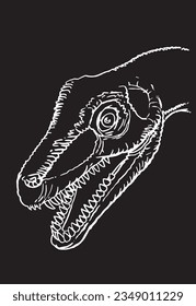 Graphical sketchy illustration of diplodocus head  on black background,vector illustration 