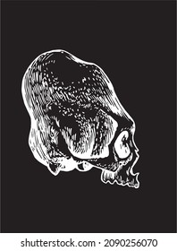 Graphical skull of Aztec civilazation isolated on black, long skull of ancient tribe, vector illustration