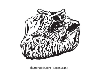 Graphical skull of crocodile isolated on white, vector illustration, paleontology