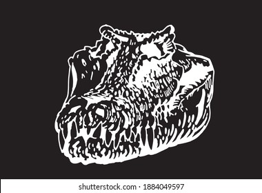 Graphical skull of crocodile isolated on black background,vector engraved illustration